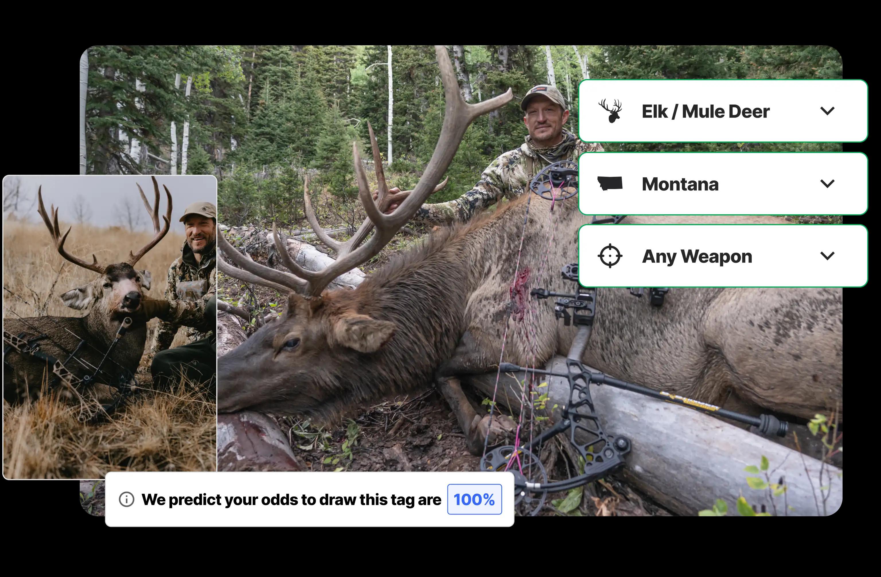  Montana deer and elk applications made easy 