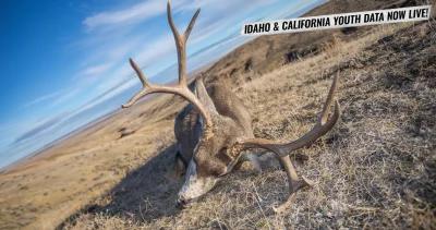 INSIDER Update: Idaho and California Youth Hunting Information Now Live!