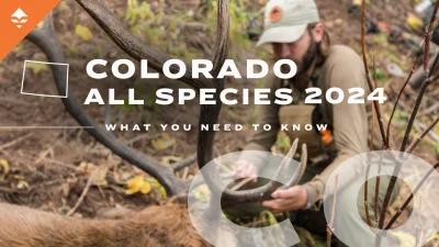 2024 Colorado what you need to know when applying for hunts