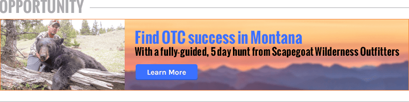 Montana scapegoat wilderness outfitters spring bear hunt listing_0