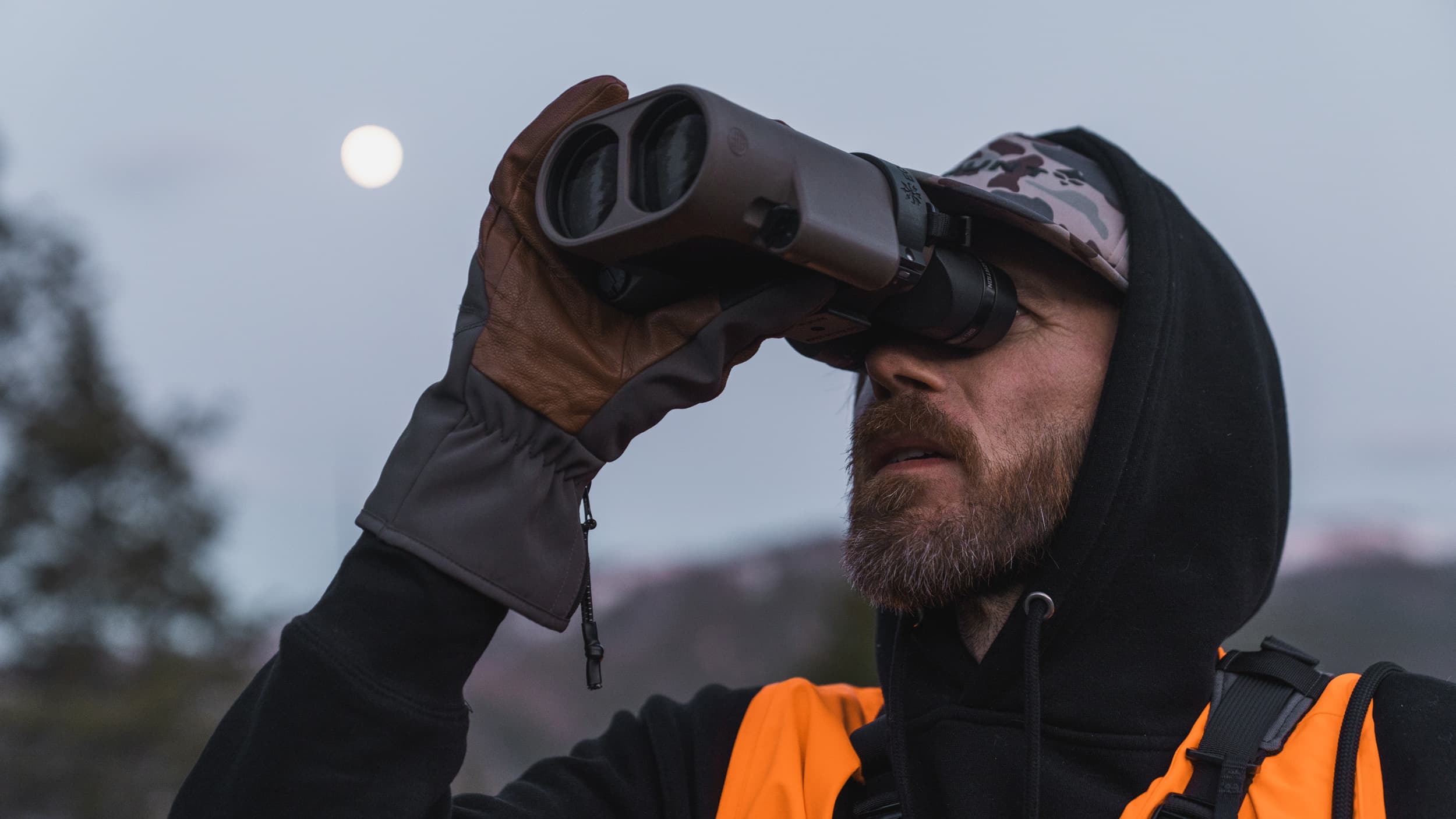 Glassing for bears with SIG ZULU6 HDX PRO 16x50 image stabilized binoculars