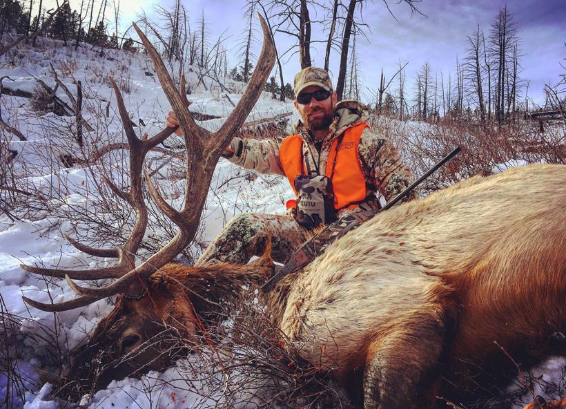 APPLICATION STRATEGY 2017: Montana Deer and Elk - 1d