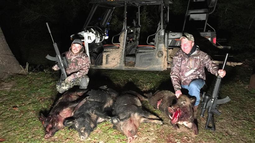 Offseason hog hunting