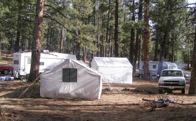 Late mule deer West Kaibab Camp