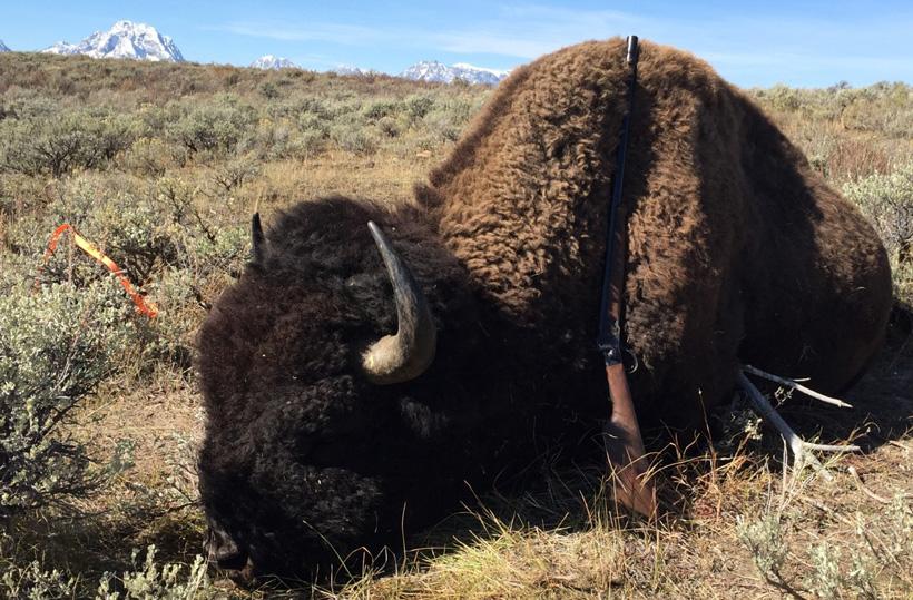 Stephan Roaque Wyoming bison with rifle