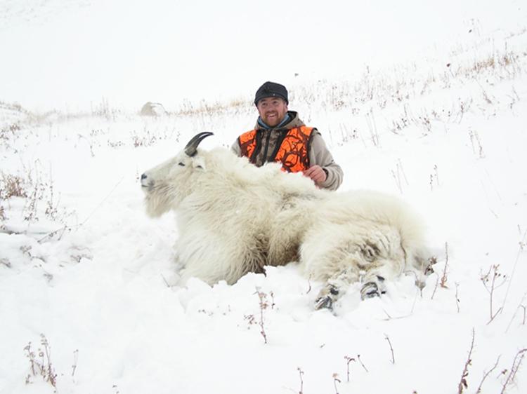 APPLICATION STRATEGY 2015: Montana sheep, moose, goat, bison - 5d