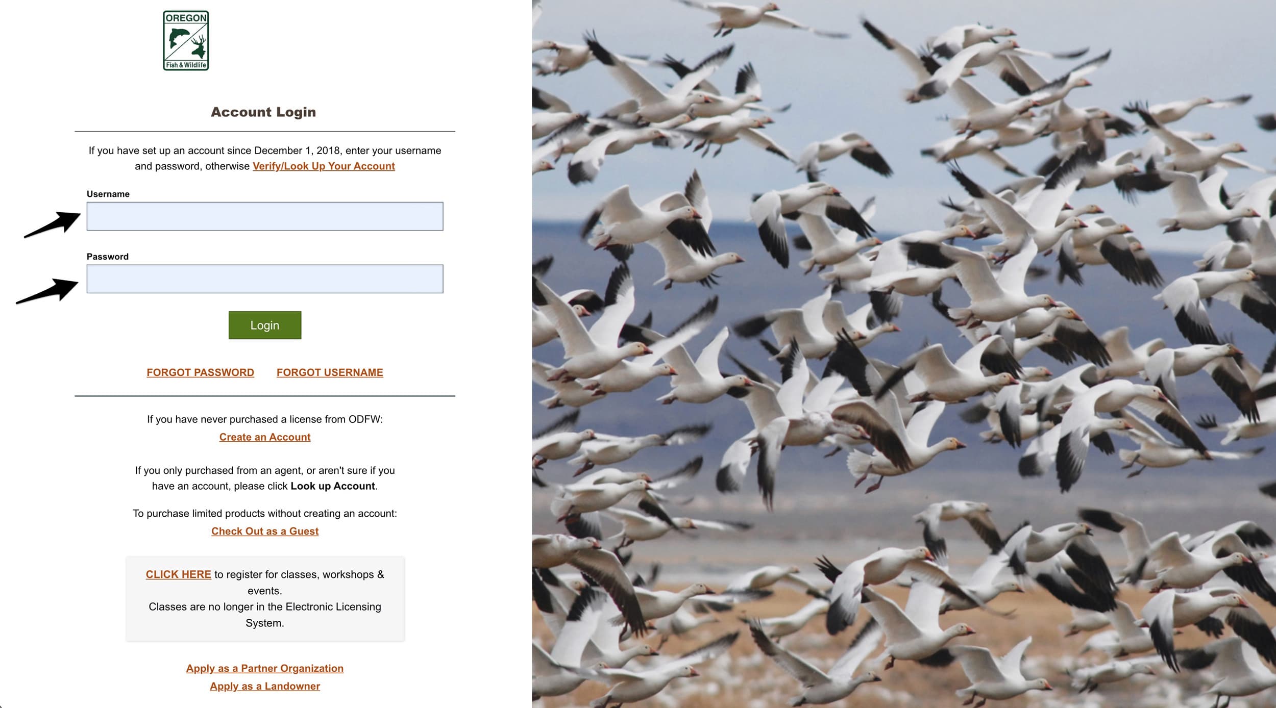 Enter username and password for Oregon hunting licensing account