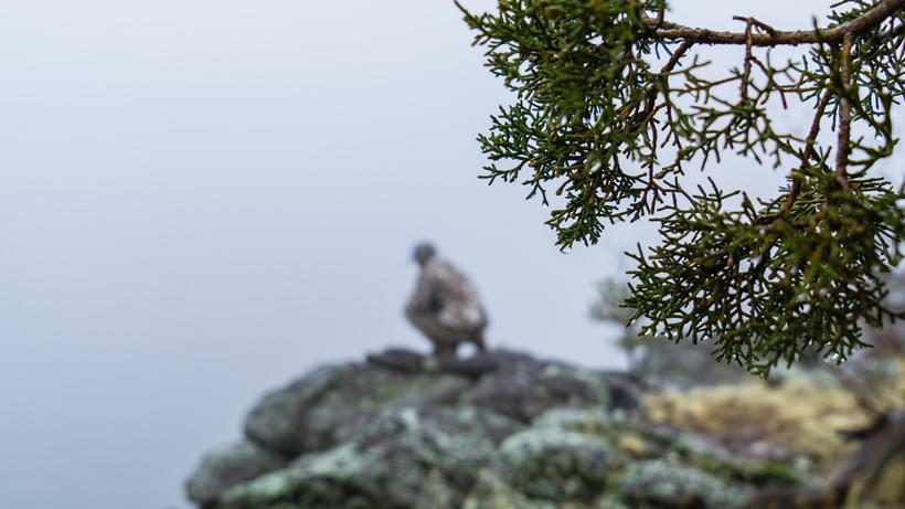 Pic 3 wild game meat