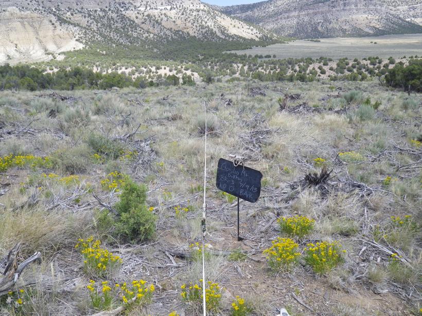 2013 goslin mountain bullhog