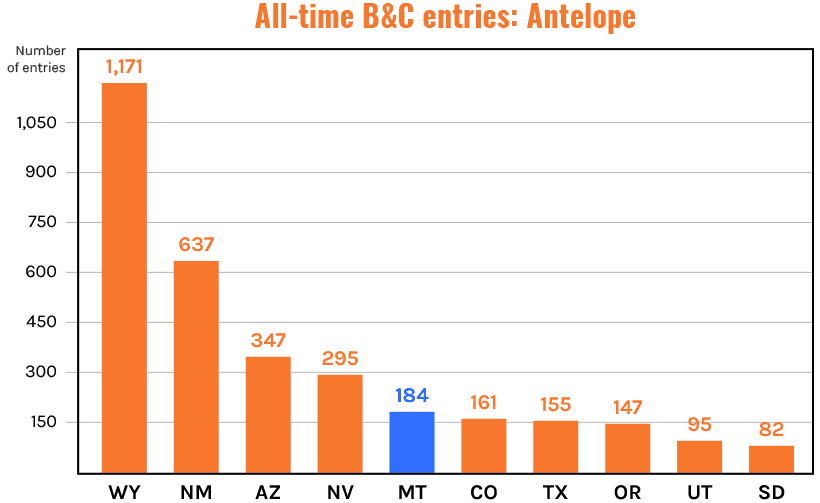 Montana total boone and crockett antelope all time
