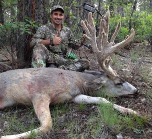 Arizona man charged with poaching mule deer - 0
