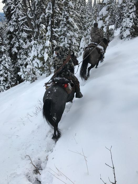 Pushing up a trail after elk