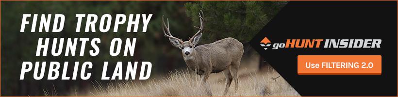 The keys to antler growth: Age, genetics, nutrition - 12