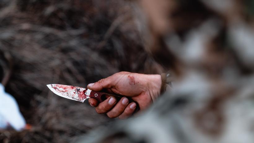 Argali serac knife 4