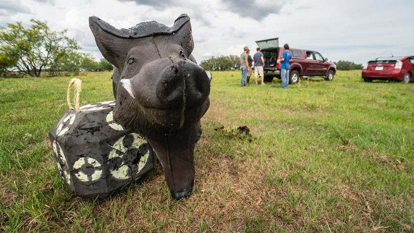 Grant mcrabb hog hunting 3d target
