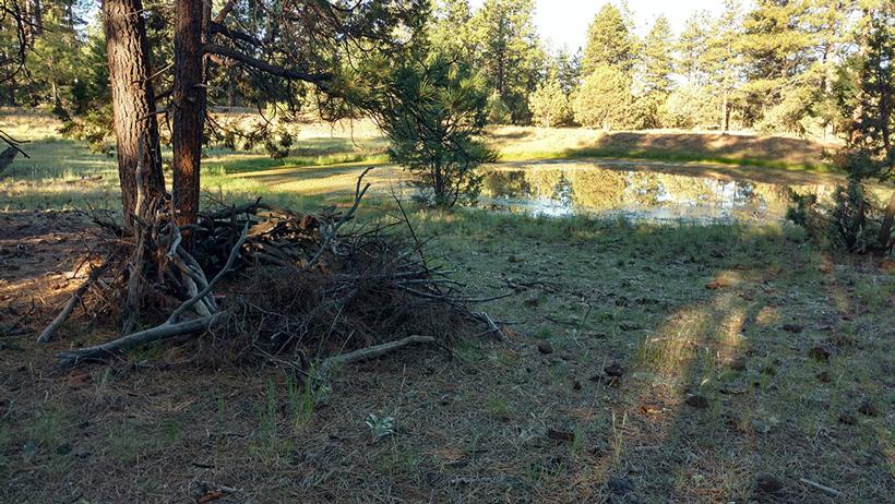 Water hole hunting with a ground blind