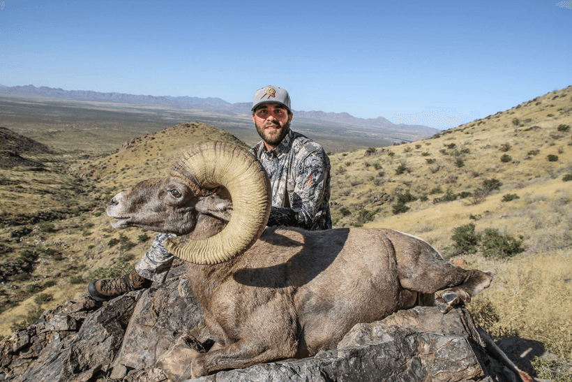 APPLICATION STRATEGY 2015: New Mexico sheep and exotics - 2d