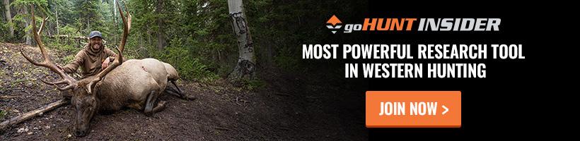 Gohunt_insider_bar_2