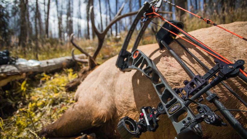The ins and outs of a quality bowstring - 1