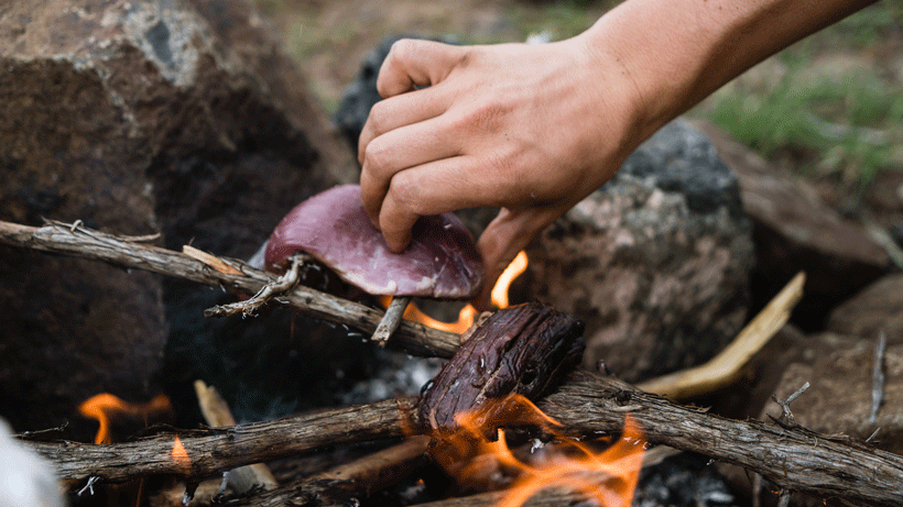 Backstrap for dinner.gif