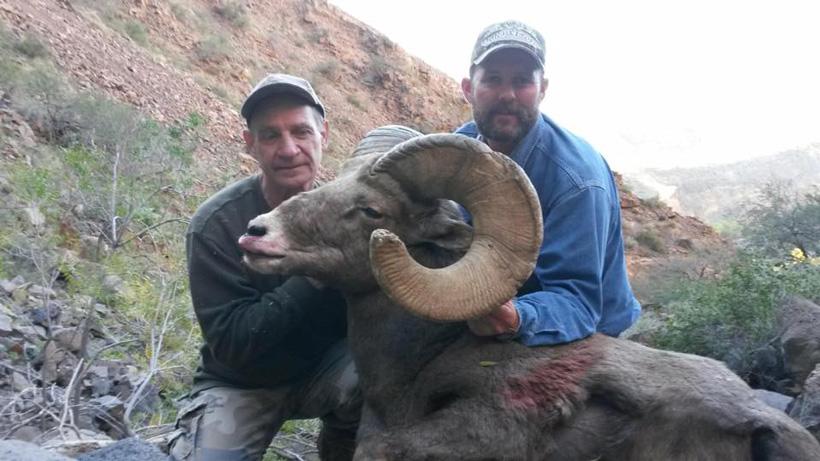 Arizona rocky mountain bighorn sheep taken with dieringer outfitters