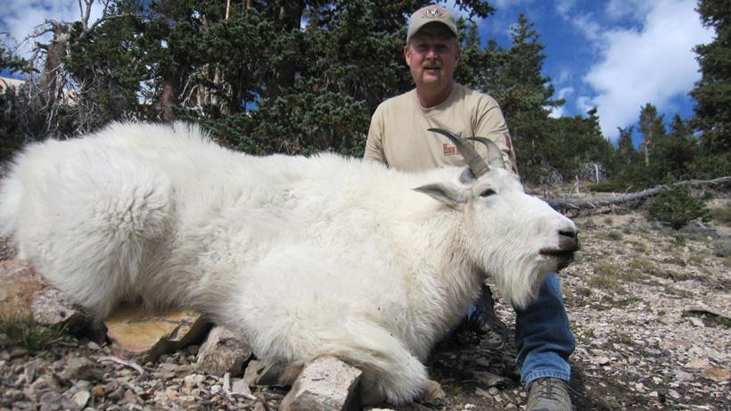 Tad Jolley with his mountain goat