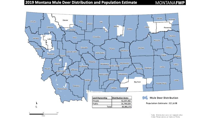 Mt blue chart app strategy