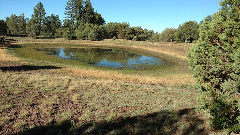 Water hole while hunting