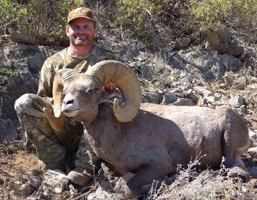 New mexico desert bighorn sheep taken with jfw ranch consulting