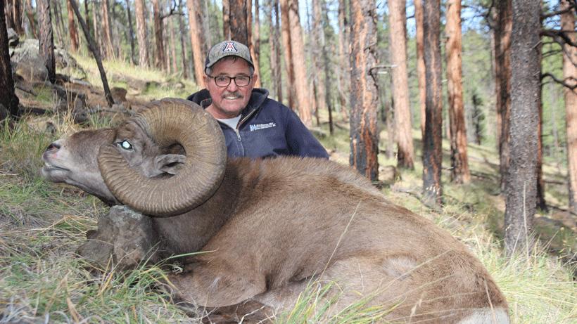 William acheson 2018 rocky mountain bighorn