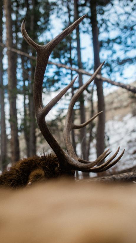 Finding time to hunt as a new parent 5