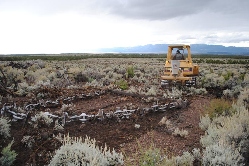 Chain harrow seed broadcast