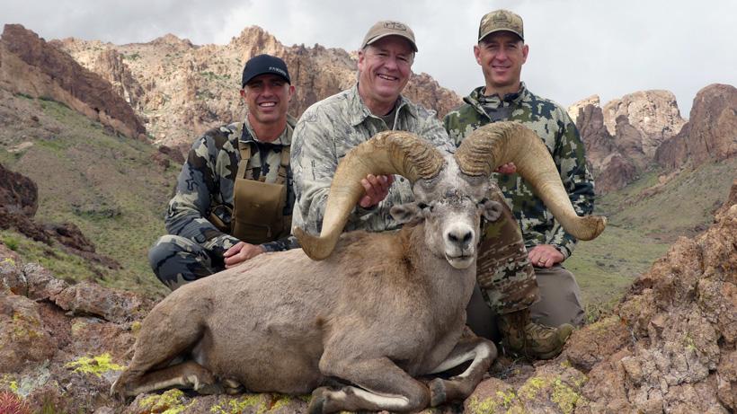 Joes raffle bighorn sheep