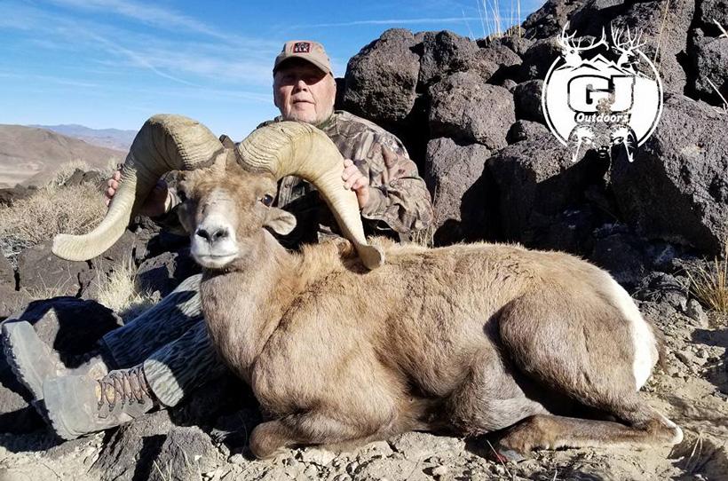 Desert bighorn sheep taken with g and j outdoors