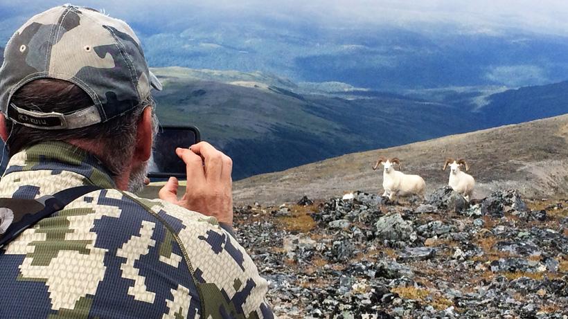 9 days of bad weather made for the perfect Dall sheep hunt - 28