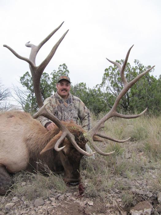 New mexico bull elk taken with grahams guide service
