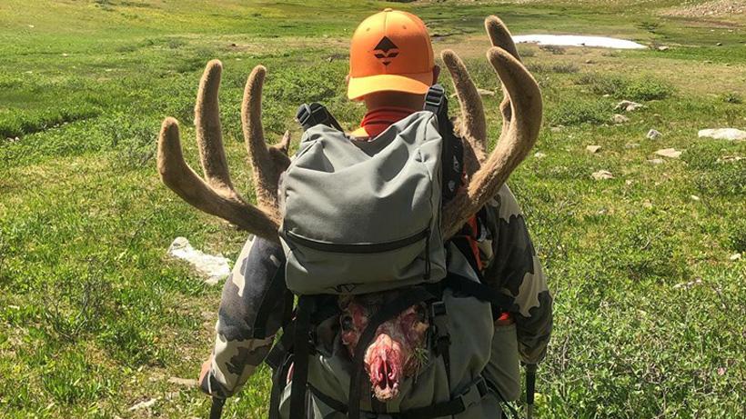 Packing out mule deer in colorado