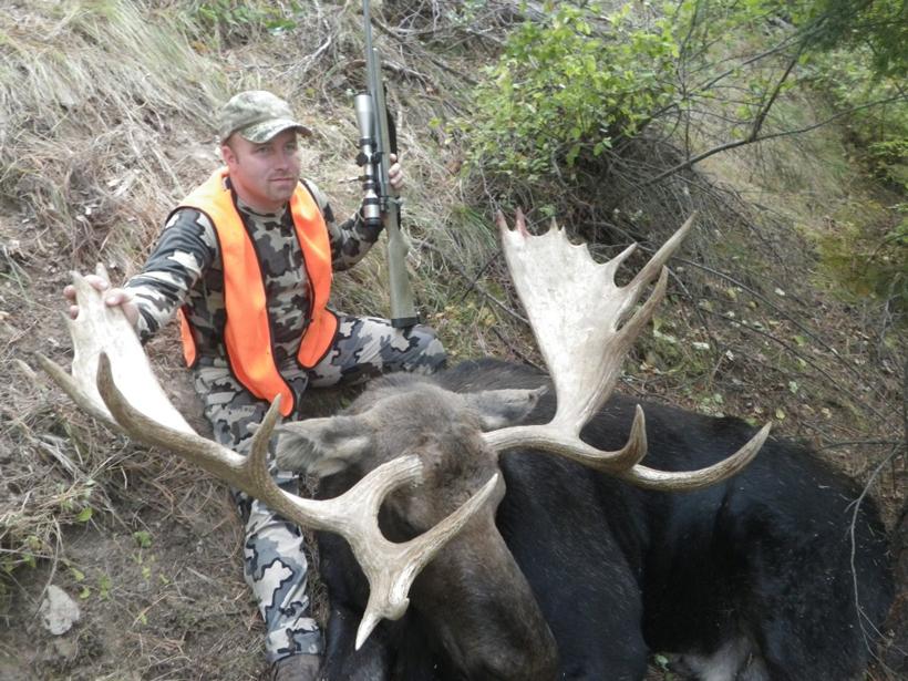 APPLICATION STRATEGY 2015: Montana sheep, moose, goat, bison - 3d