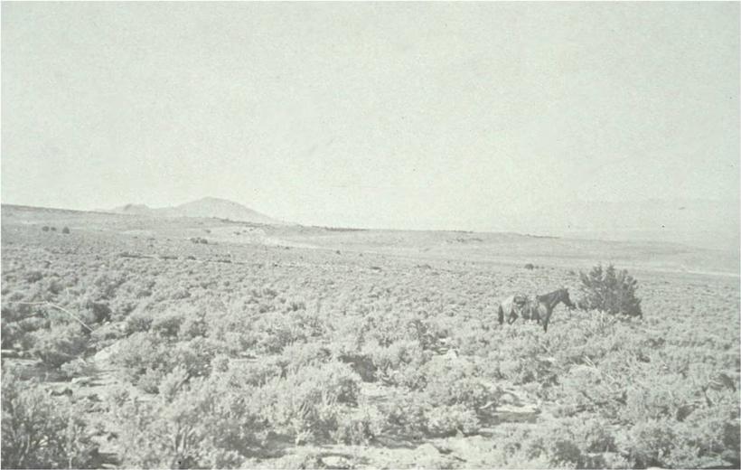 Stansbury mountains 1901