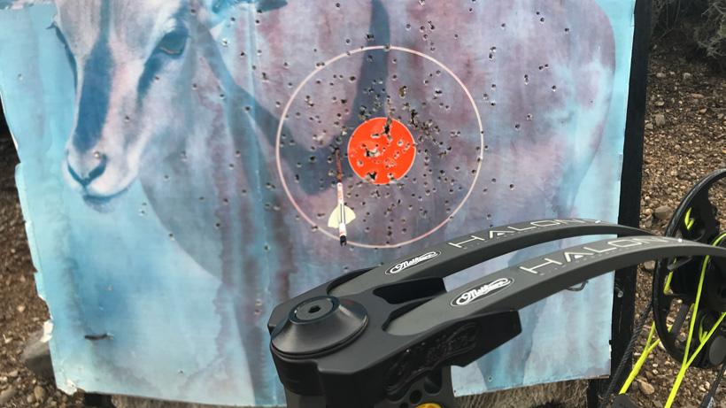 First shot after trying to beat target panic