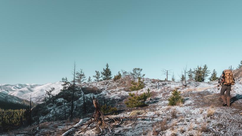 Awright tips for the midwestern hunter 1