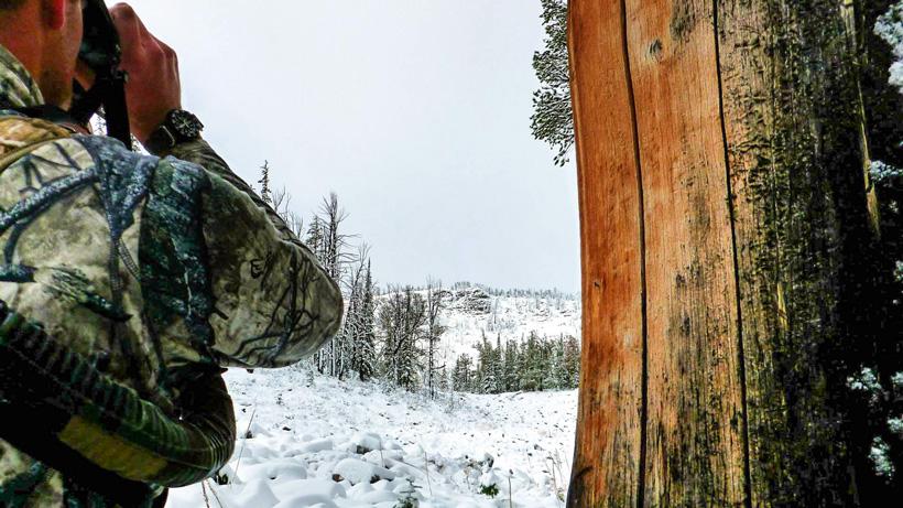 Glassing for elk in the snow