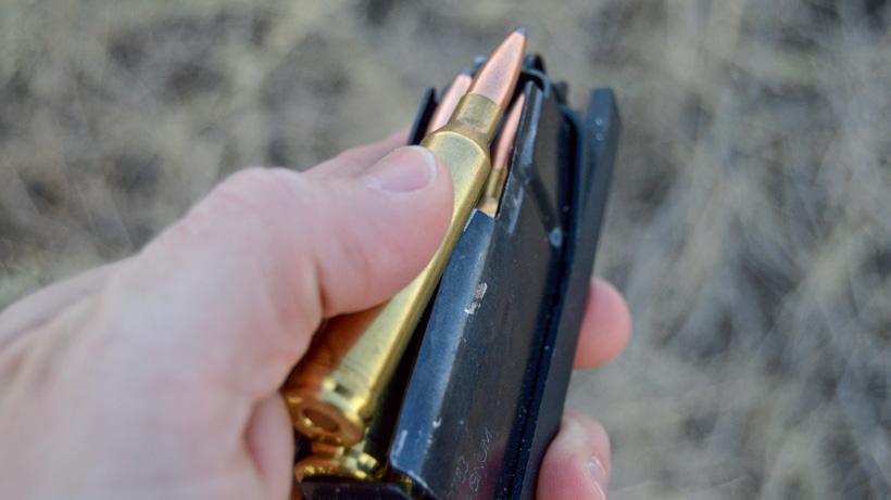 Selecting the correct rifle cartridge for your needs - 6