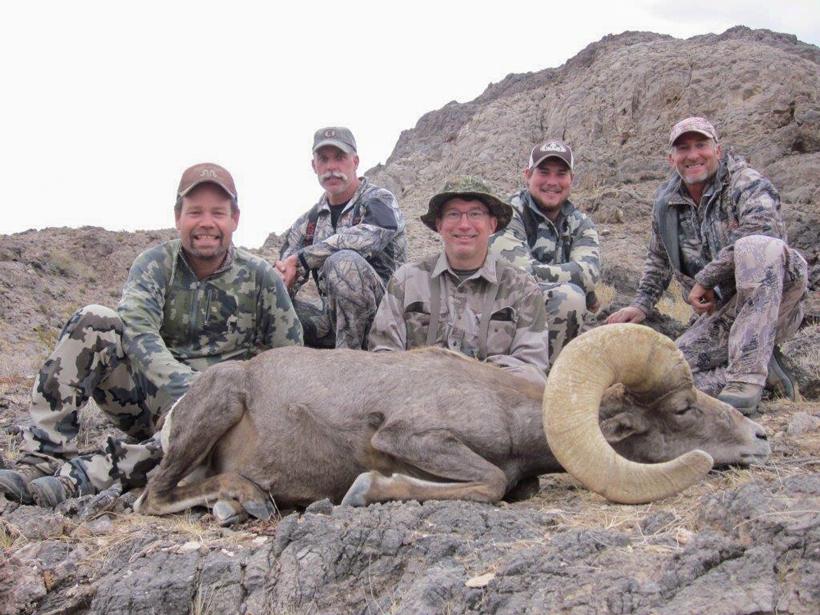 Nevada desert bighorn sheep