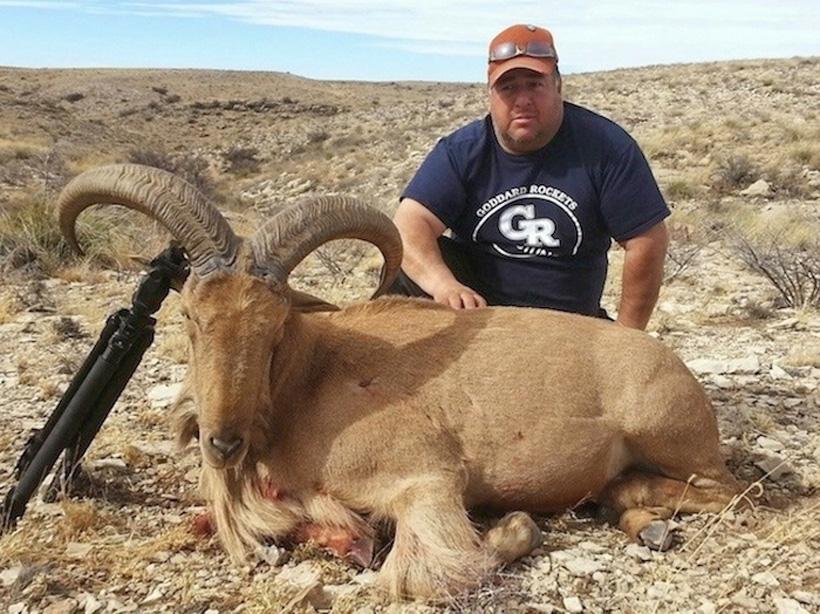 APPLICATION STRATEGY 2016: New Mexico Sheep & Exotics - 6d