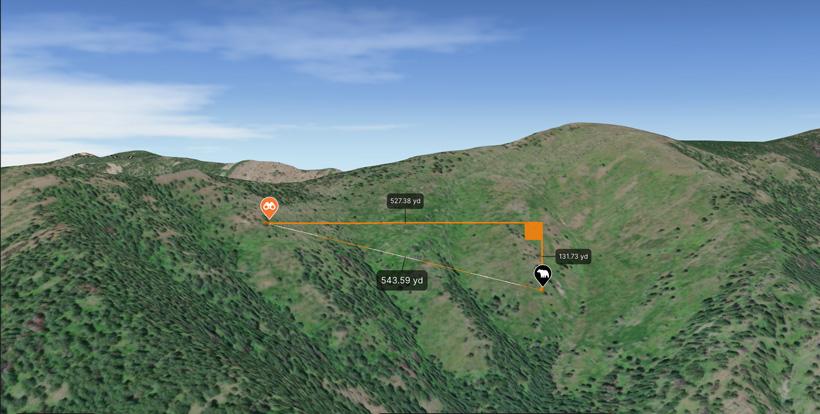 Using 3d line measurement tool on spring bear hunts