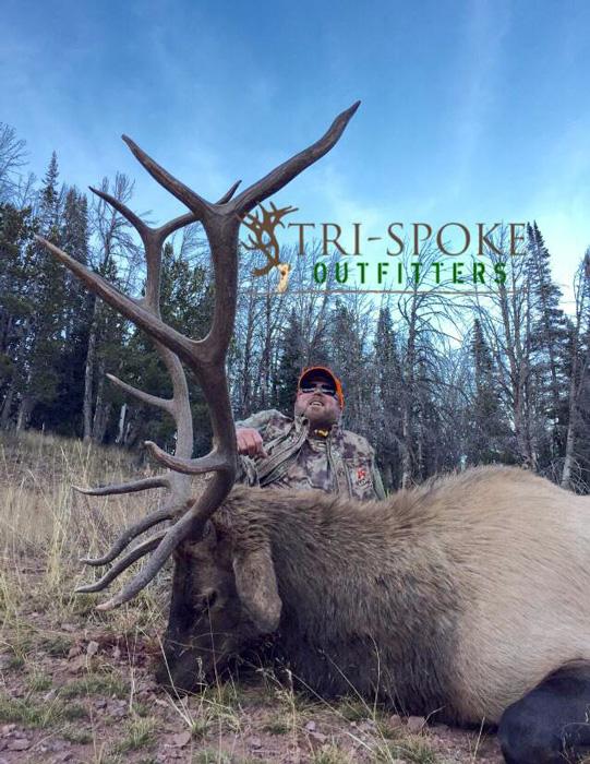 Tri spoke outfitters 2015 client bull elk