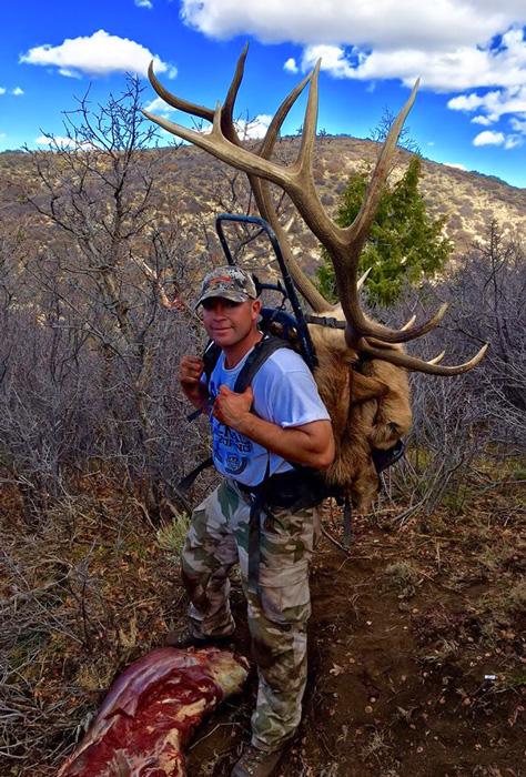 Packing a colorado bull elk taken with roosters guide and outfitting adventures
