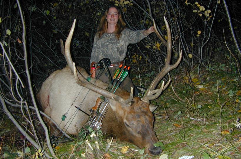 Kim mills 2011 archery bull elk