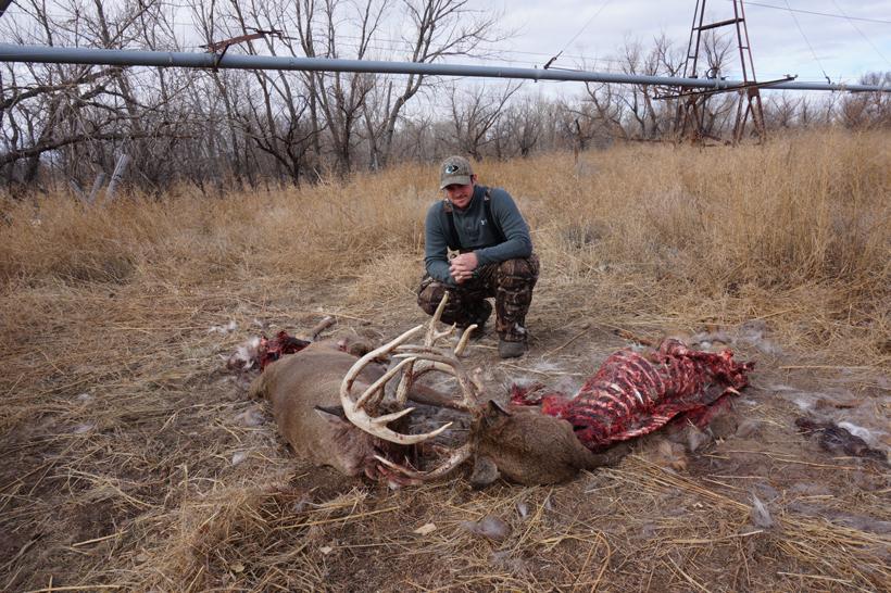 Scene of the crime with bucks locked up 3